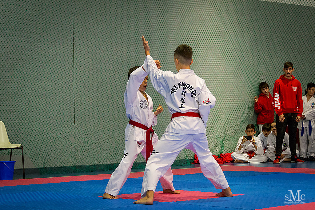 COPA SEUL, 2017  (13).JPG